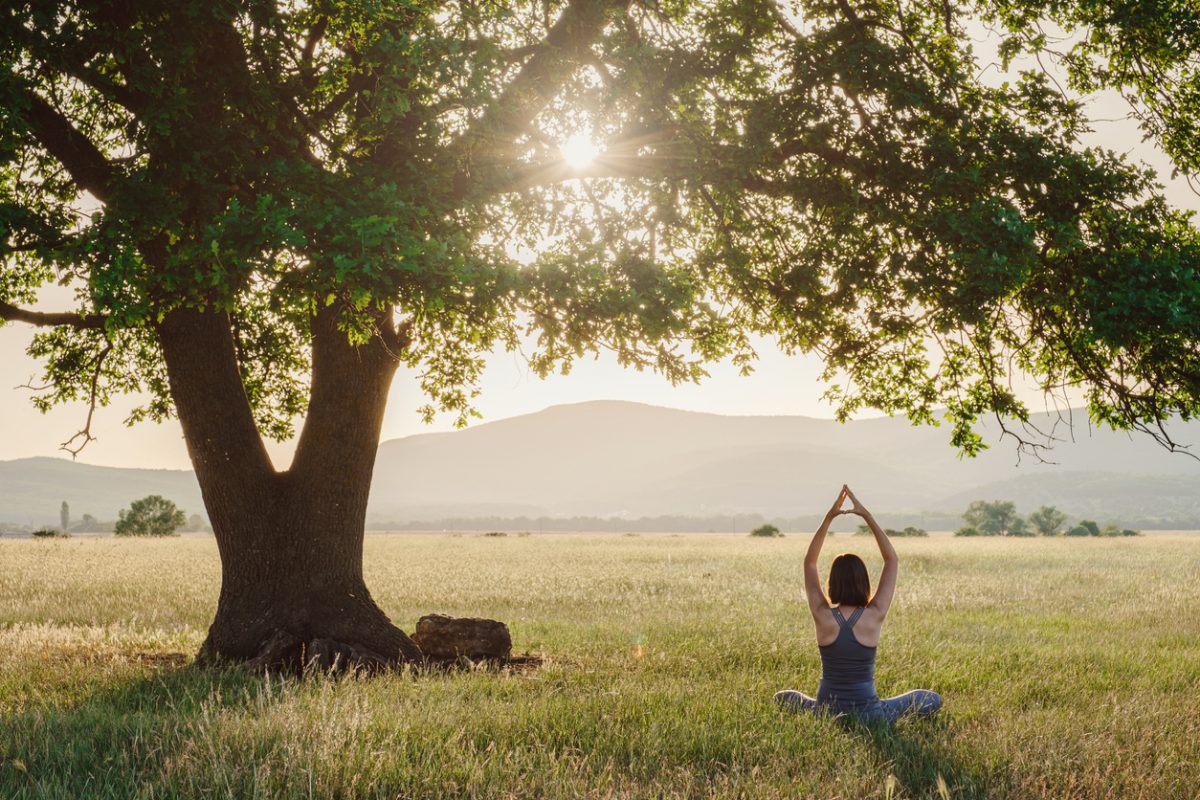 ¡Más que una meditación guiada Mindfulness, es el curso de Mindfulness que estabas buscando si eres alguien que medita o nunca ha meditado!