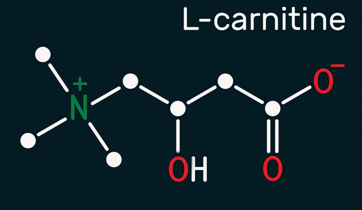 Carnitina un aminoacido esencial